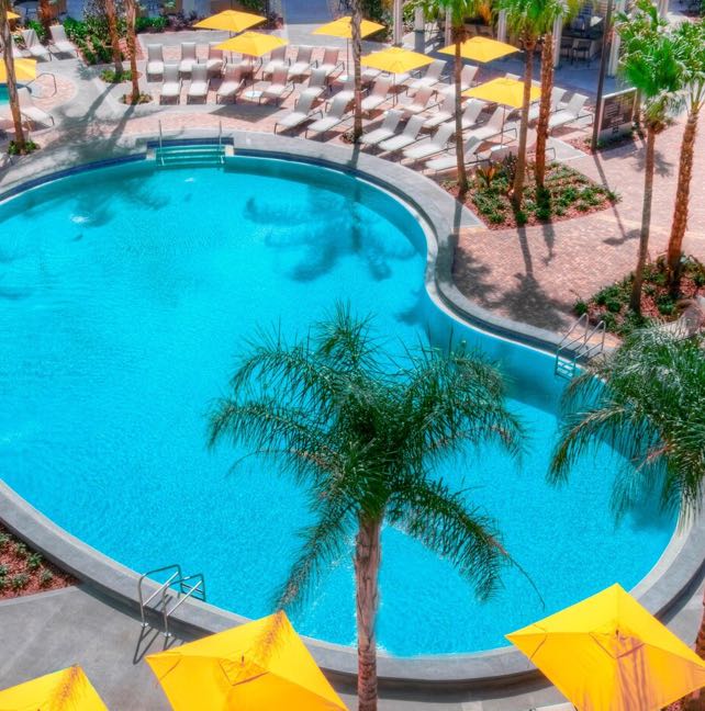 Pool view at the Sheraton Orlando Lake Buena Vista Resort