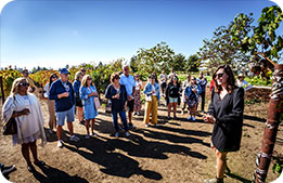 A winemaker guides cardmembers on tour through a vineyard