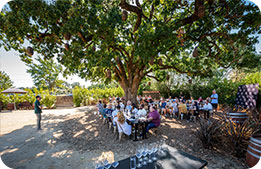 Marriott Bonvoy Cardmembers gathered for an outdoor lunch beneath the shade of a tree