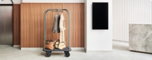 Luggage cart with suitcases