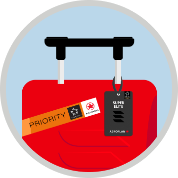 Priority Check-in luggage icon
