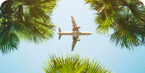 Airplane flying over trees