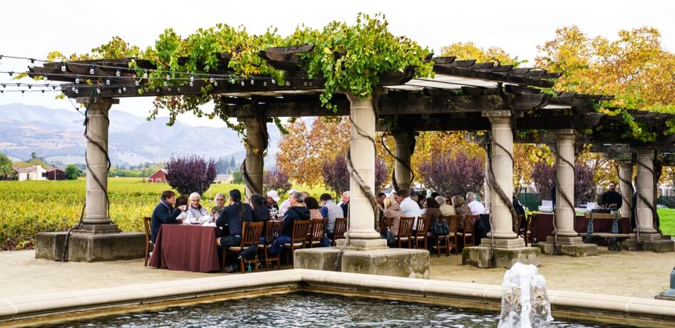 Guests enjoy a meal by the vineyard.