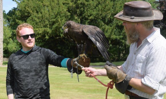 An expert falconer stands with a guest has he holds a falcon.