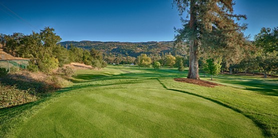 A vibrant golf course in Napa Valley, California