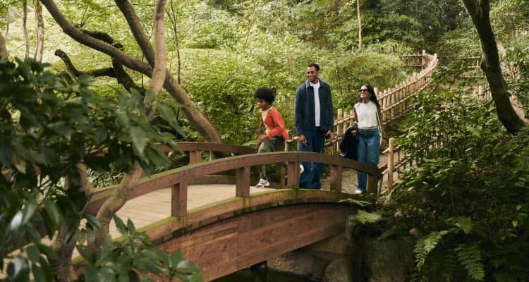 Three people walking on a wooden bridge in a lush, green forest or garden in Japan.