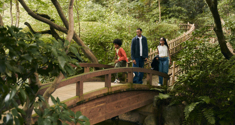 Three people walking on a wooden bridge in a lush, green forest or garden in Japan.