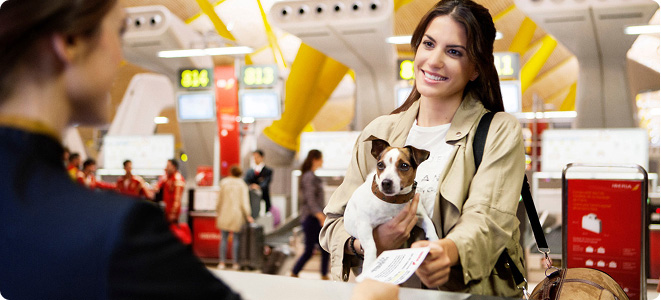 A woman holding her dog at an airport check-in counter.