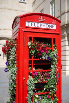 Red telephone box with flowers