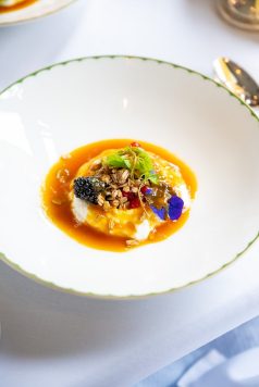 Gourmet entrée plated for service