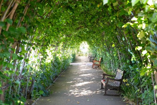 Landscaped walkway at Kensington Palace