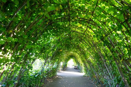 Garden arbor walkway at Kensington Palace