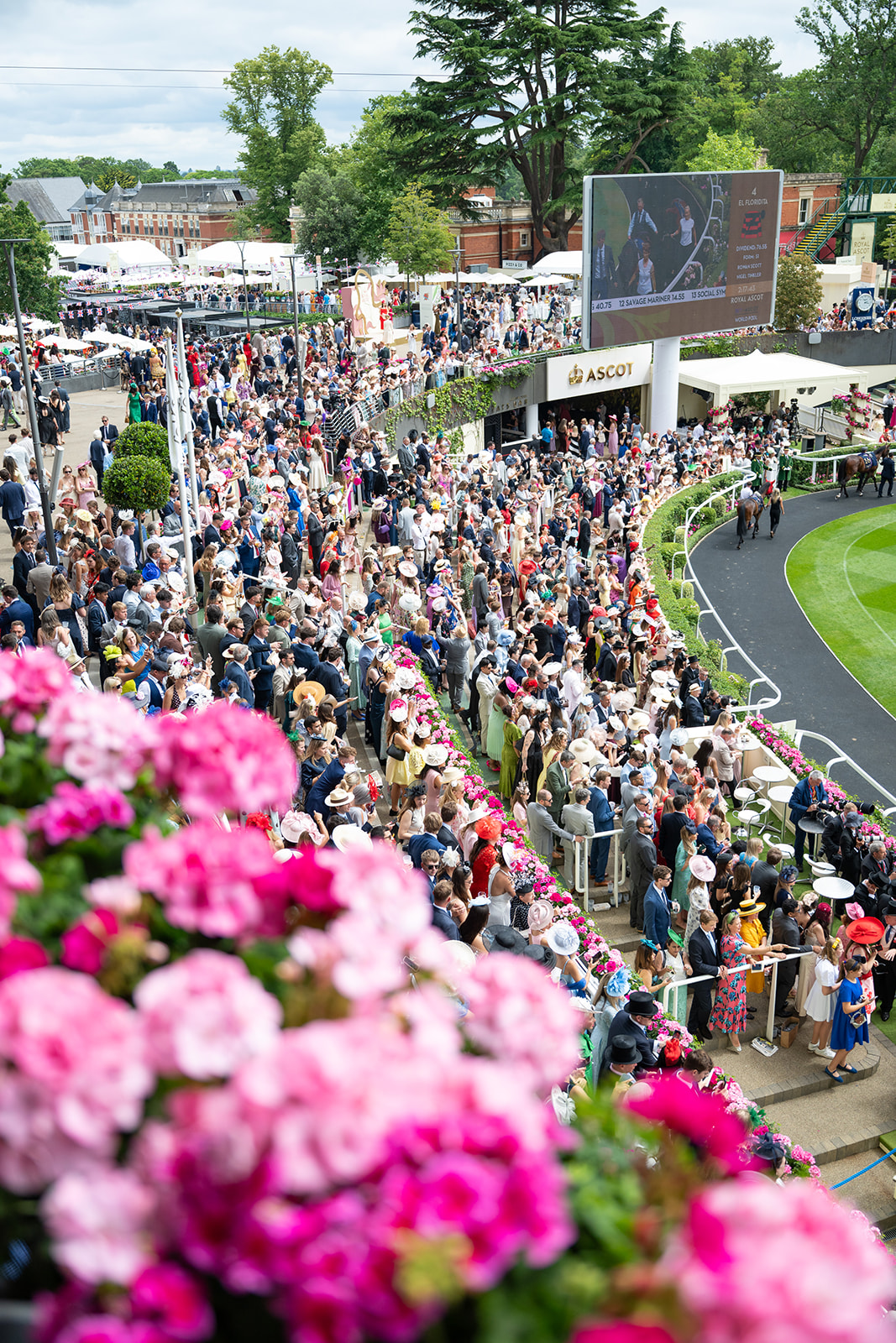 Spectators lining parade ring rail