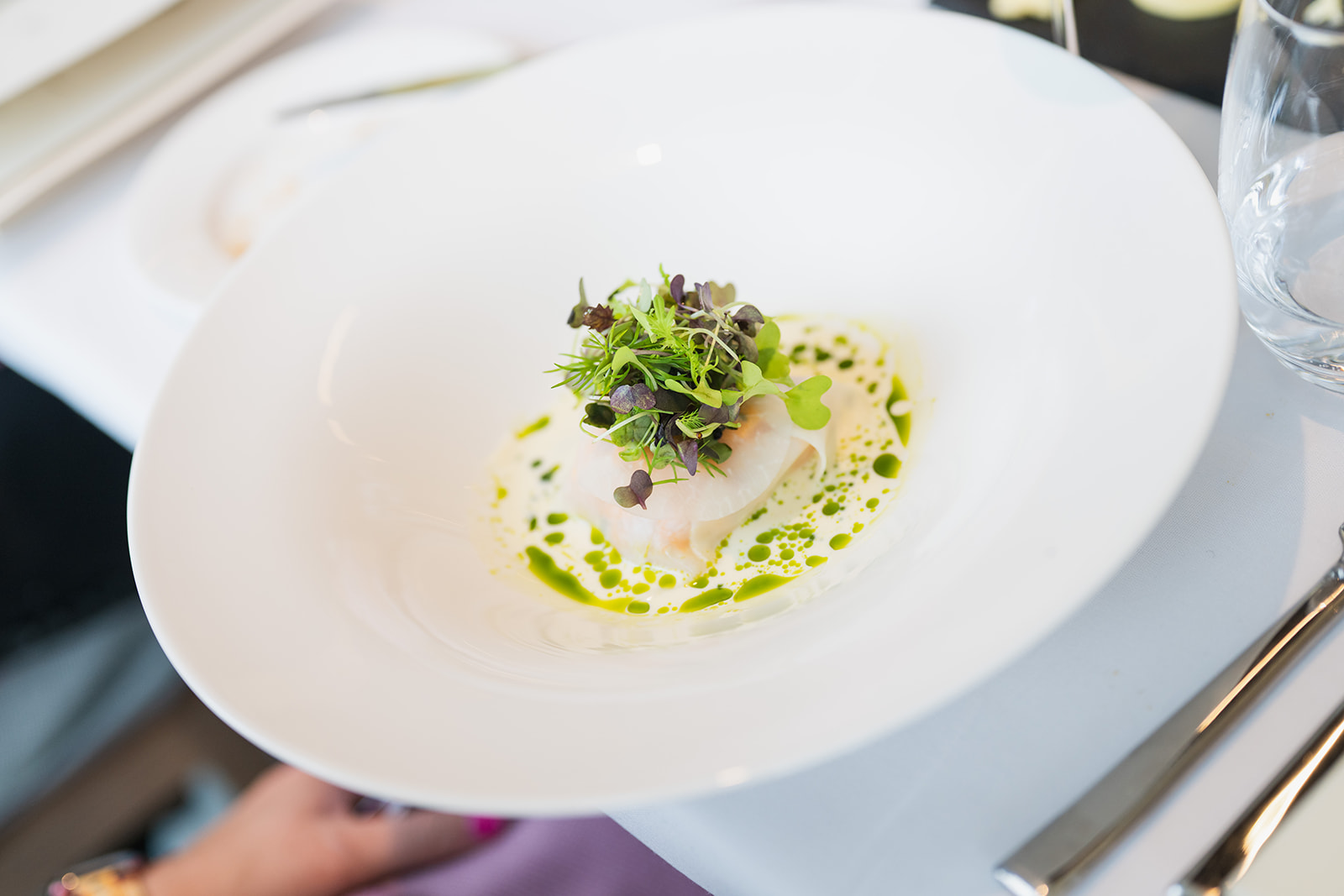 Gourmet appetizer with herb sauce
