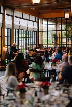 Live music performance during seated dinner.