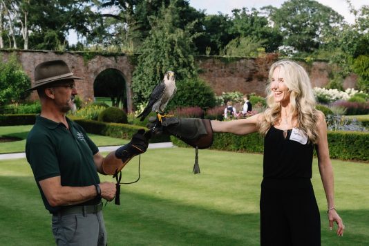 Falconer guiding bird interaction on lawn.