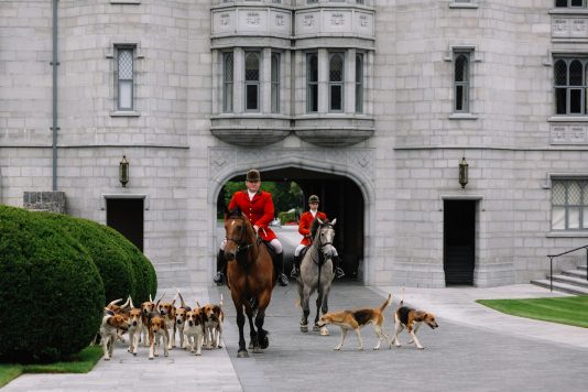 Riders entering a courtyard with dogs.