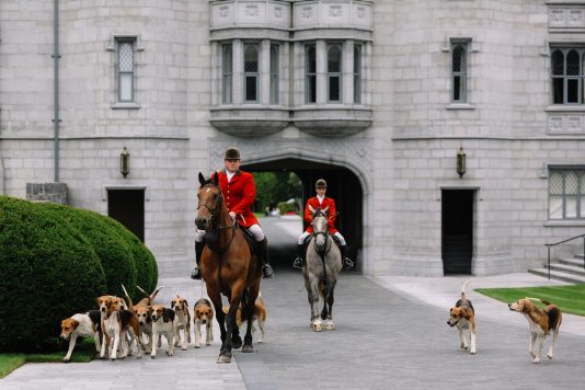 Riders traveling along a path with dogs.