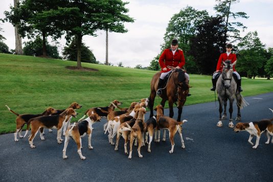 Horse riders leading dogs along a road.