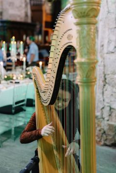 Close-up of harp strings and frame.