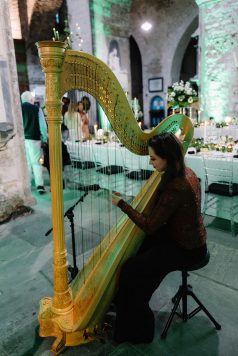 Person playing a harp indoors.