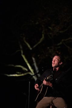 Live guitar performance beneath trees at night