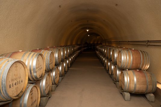 Wine barrels in underground cellar