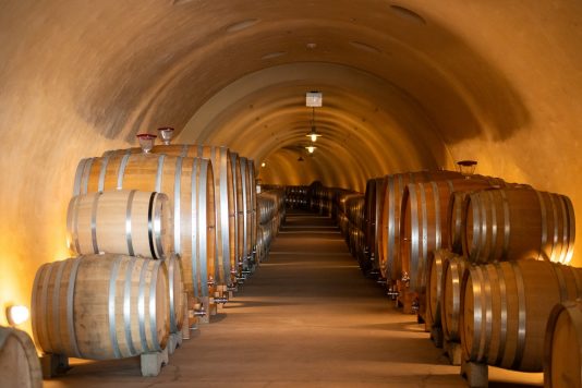 Oak wine barrels in winery cellar