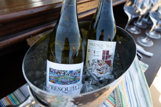 Chilled wine bottles at tasting experience