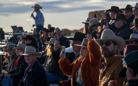 Guests watching rodeo from stands