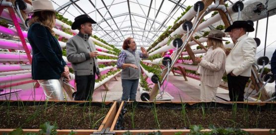 Guests touring greenhouse farm