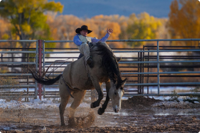 Rider on a bucking horse inside a rodeo arena with fencing and autumn trees in the background