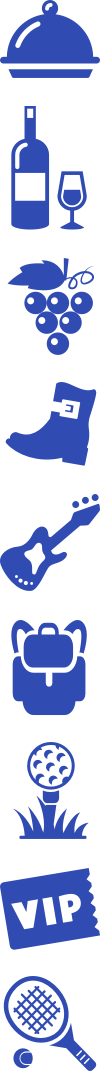 Guitar icon, Golf icon, Boots icon, Tennis icon, Food cover icon, Wine icon, Grape icon, VIP icon, Bag icon